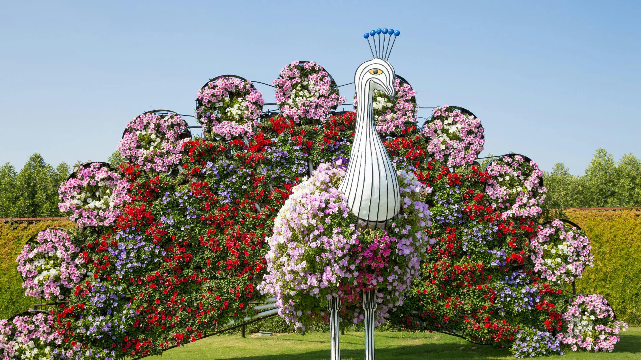 Flower Blooming Seasons